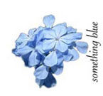 blue wedding flowers